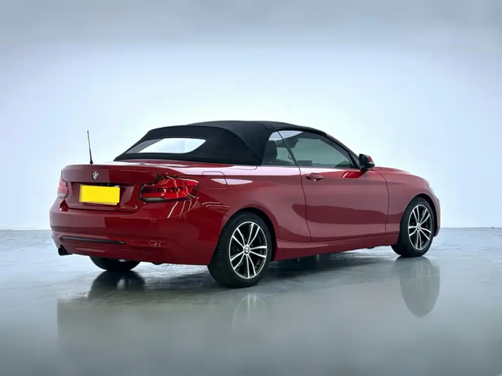 BMW 2 Series (Import) — фото 6