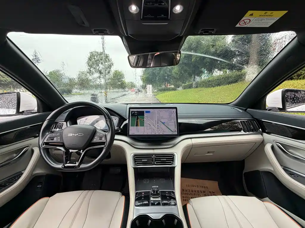 BYD PLUS New Energy — фото 13