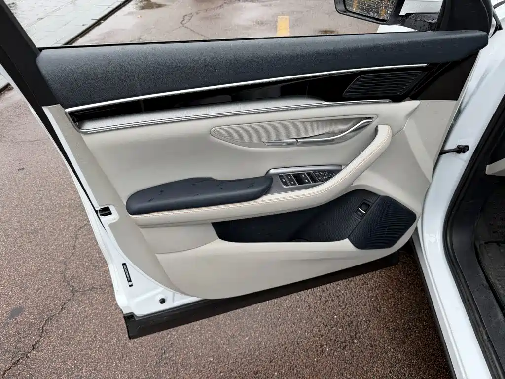 BYD PLUS New Energy — фото 6