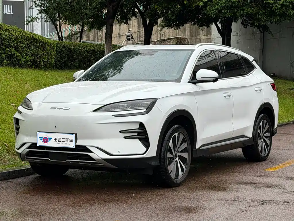 BYD PLUS New Energy