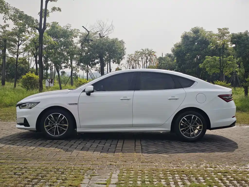 BYD Qin Pro — фото 4