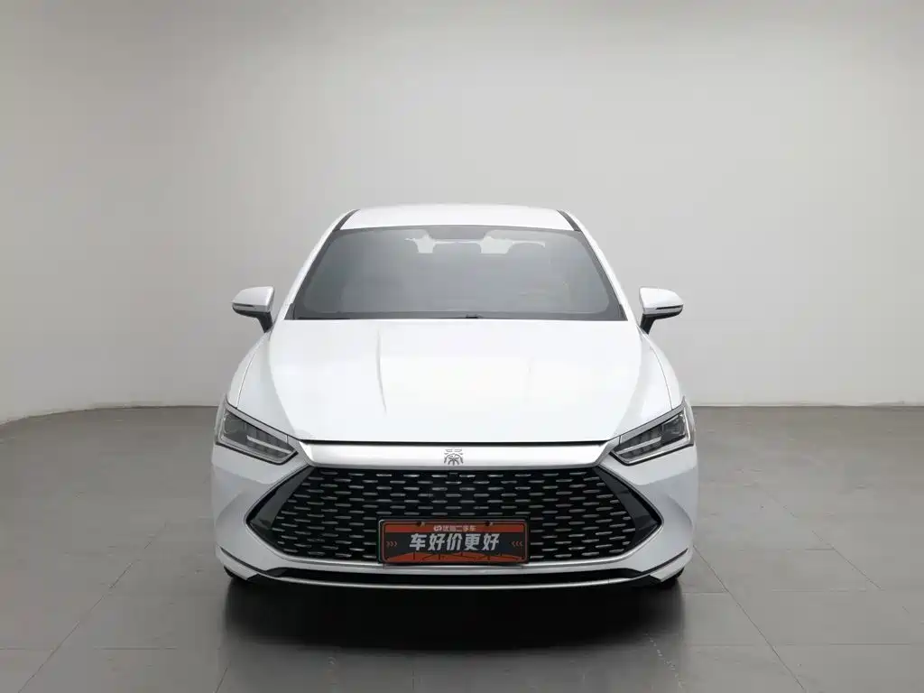 BYD Qin PLUS — фото 3