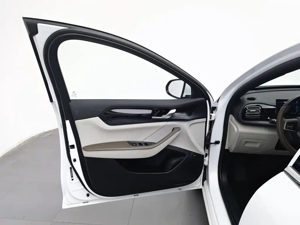BYD Qin PLUS — фото 8