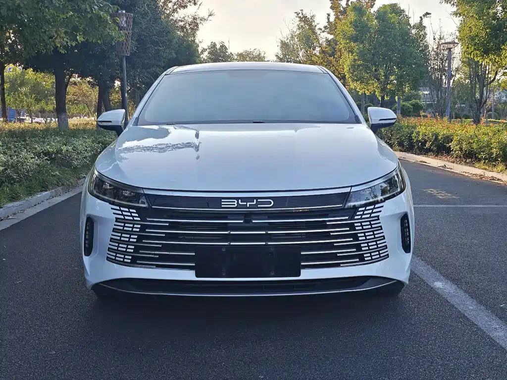 BYD Destroyer 05 — фото 2