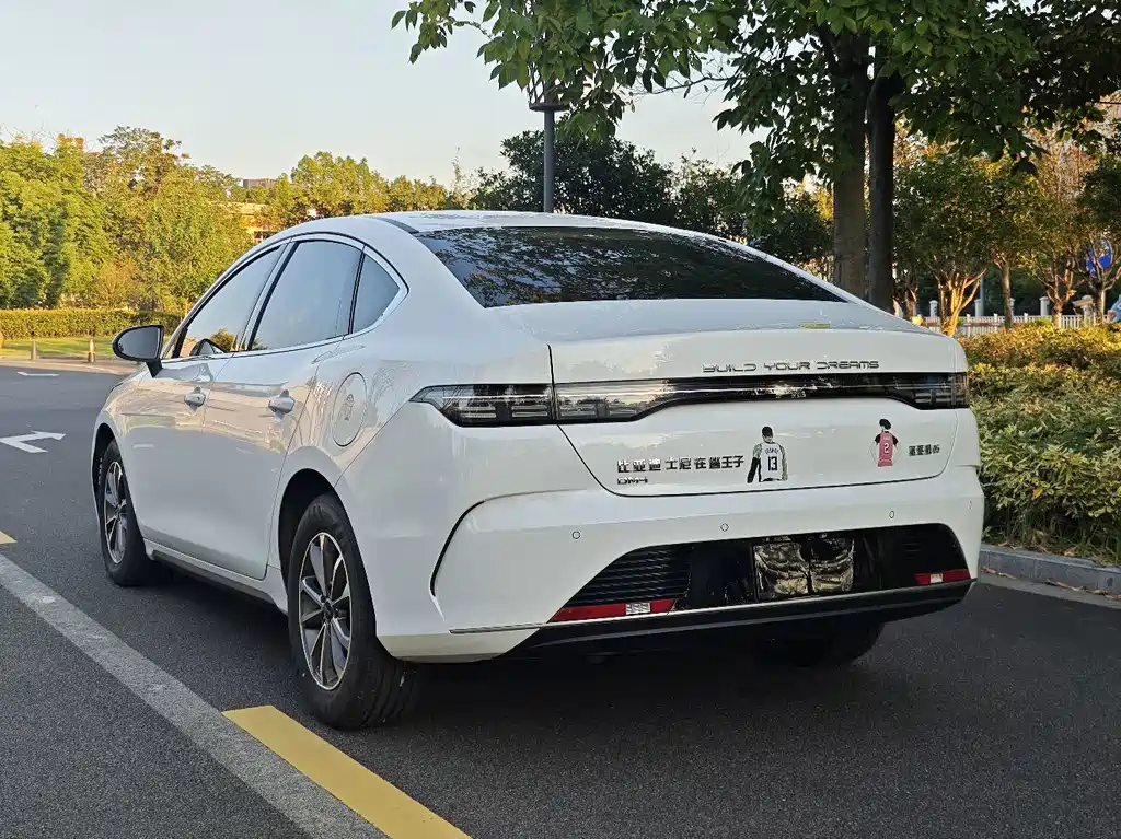 BYD Destroyer 05 — фото 14