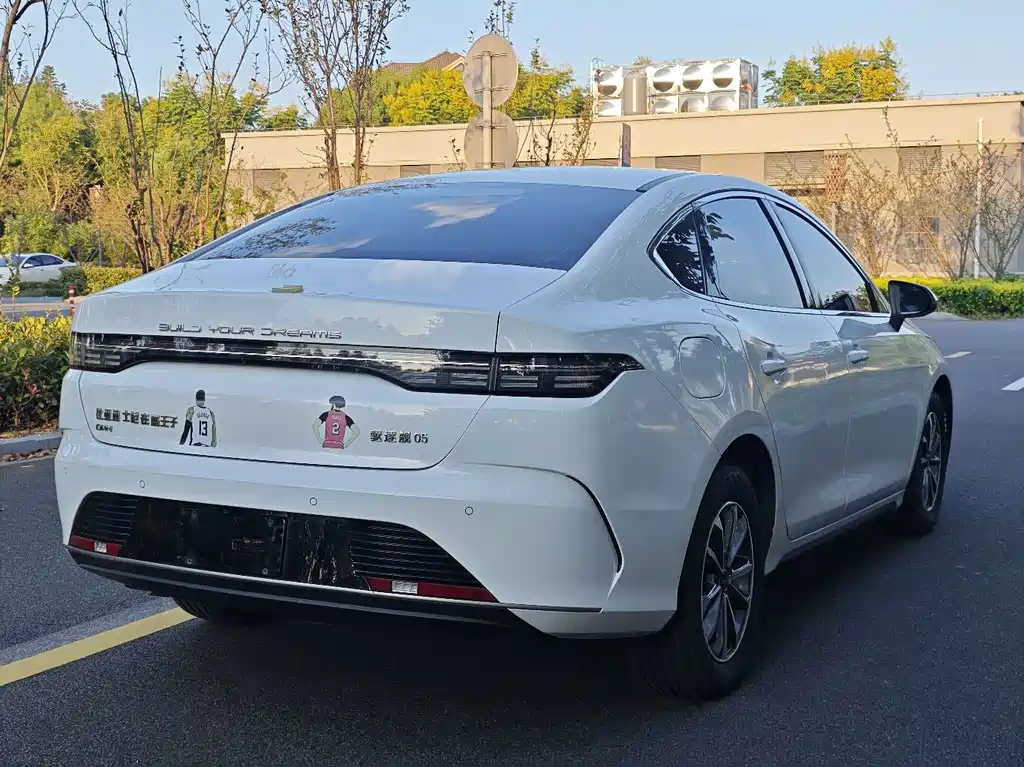 BYD Destroyer 05 — фото 16