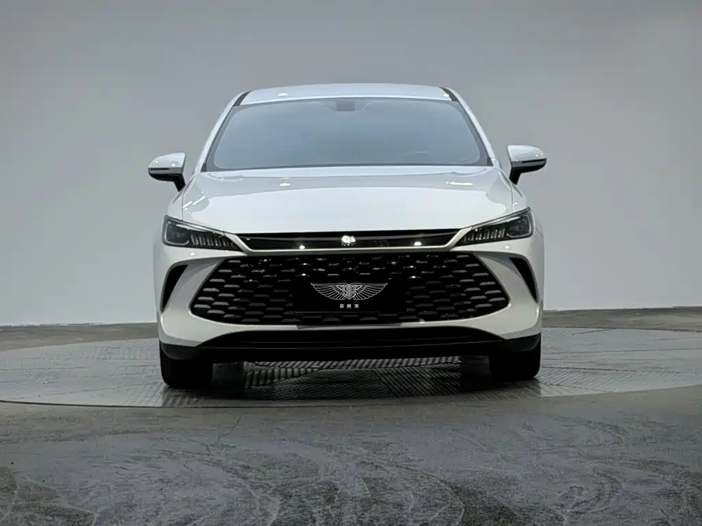 BYD Qin PLUS — фото 2