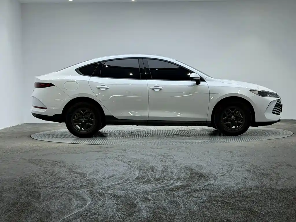 BYD Qin PLUS — фото 4