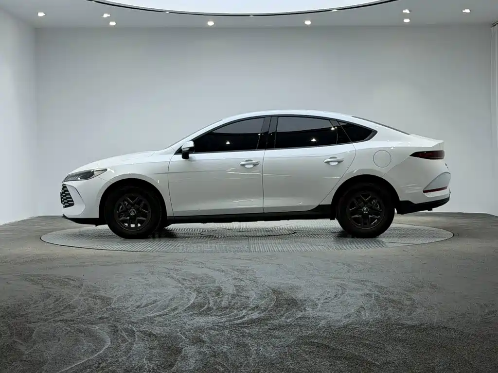 BYD Qin PLUS — фото 5
