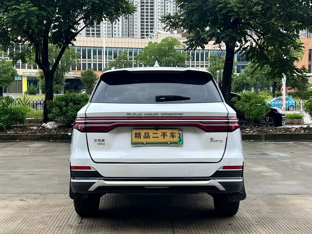 BYD Pro New Energy — фото 8