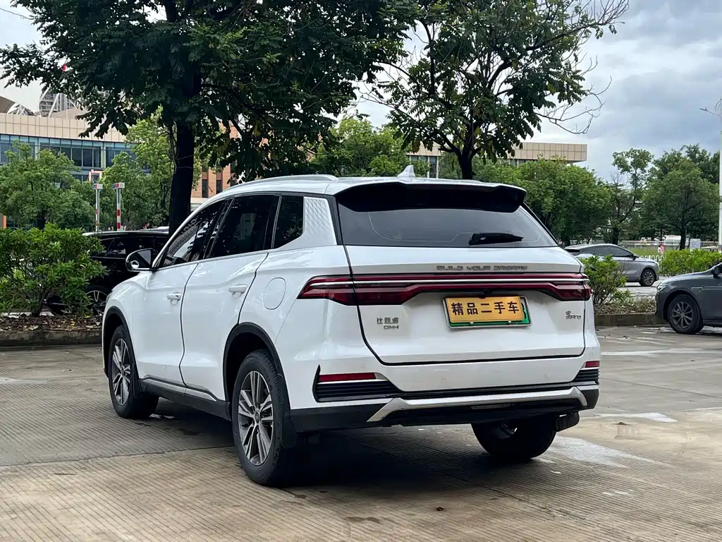 BYD Pro New Energy — фото 9