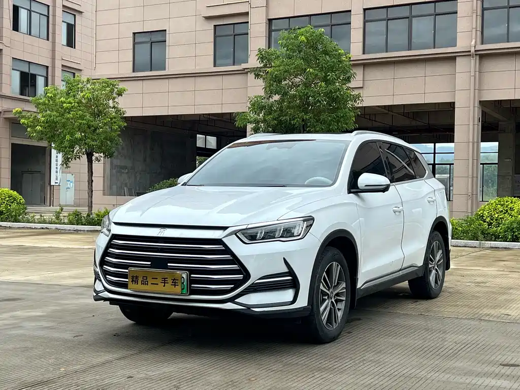 BYD Pro New Energy