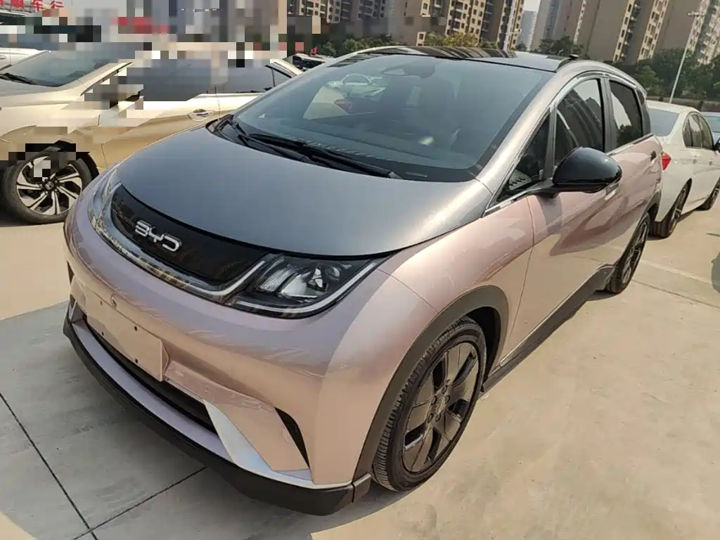 BYD Dolphin