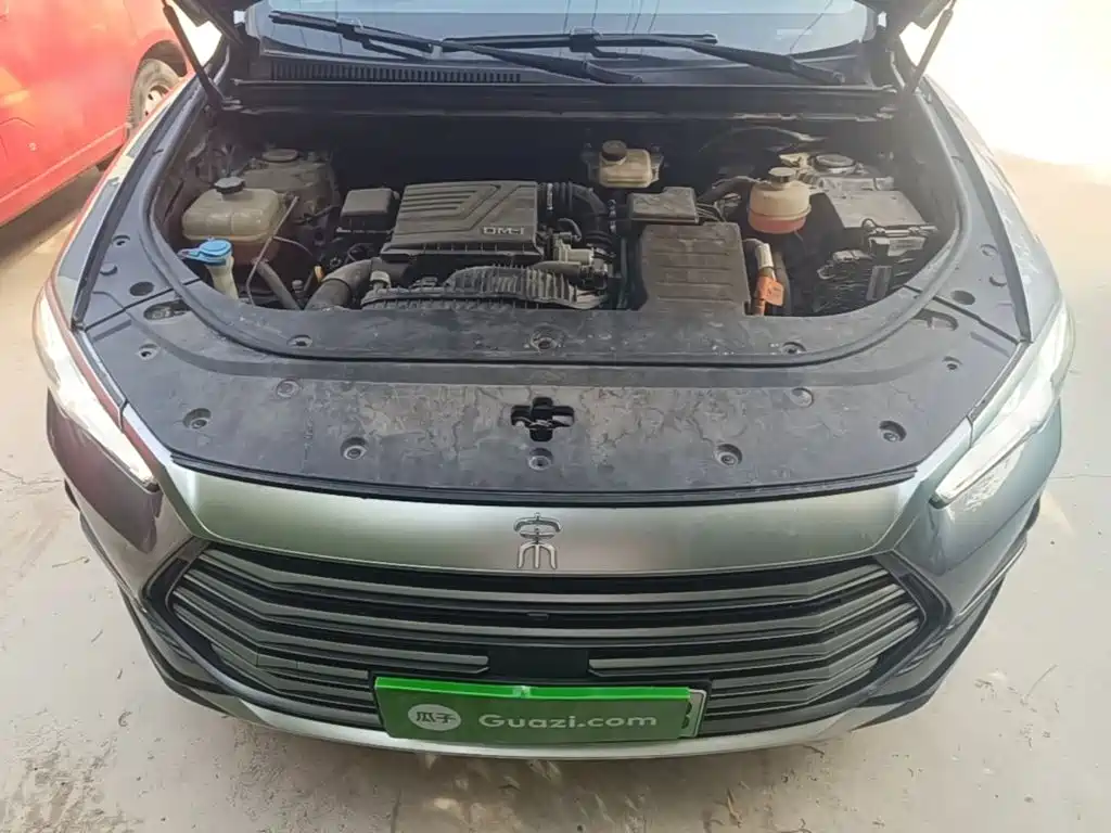 BYD Pro New Energy — фото 20