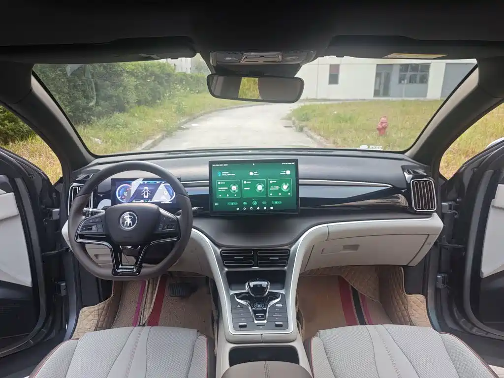 BYD Pro New Energy — фото 13