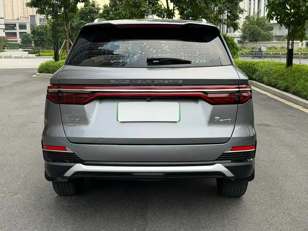 BYD Pro New Energy — фото 24