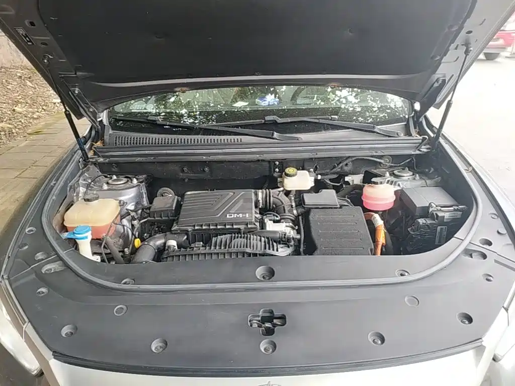 BYD Pro New Energy — фото 10