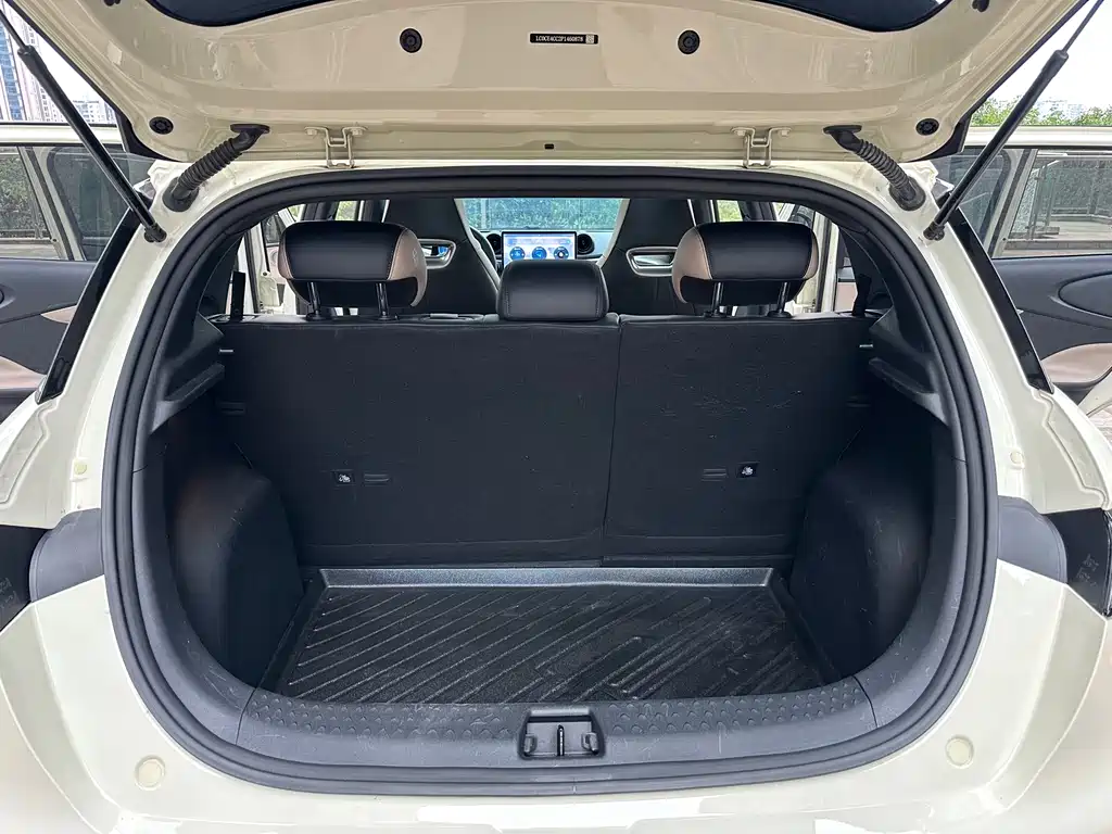 BYD Dolphin — фото 11
