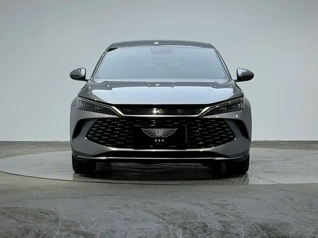 BYD Qin L — фото 2