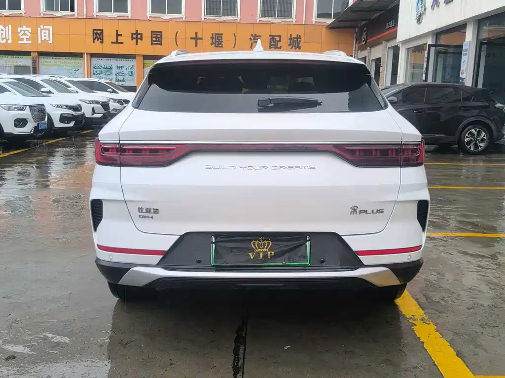BYD PLUS New Energy — фото 6