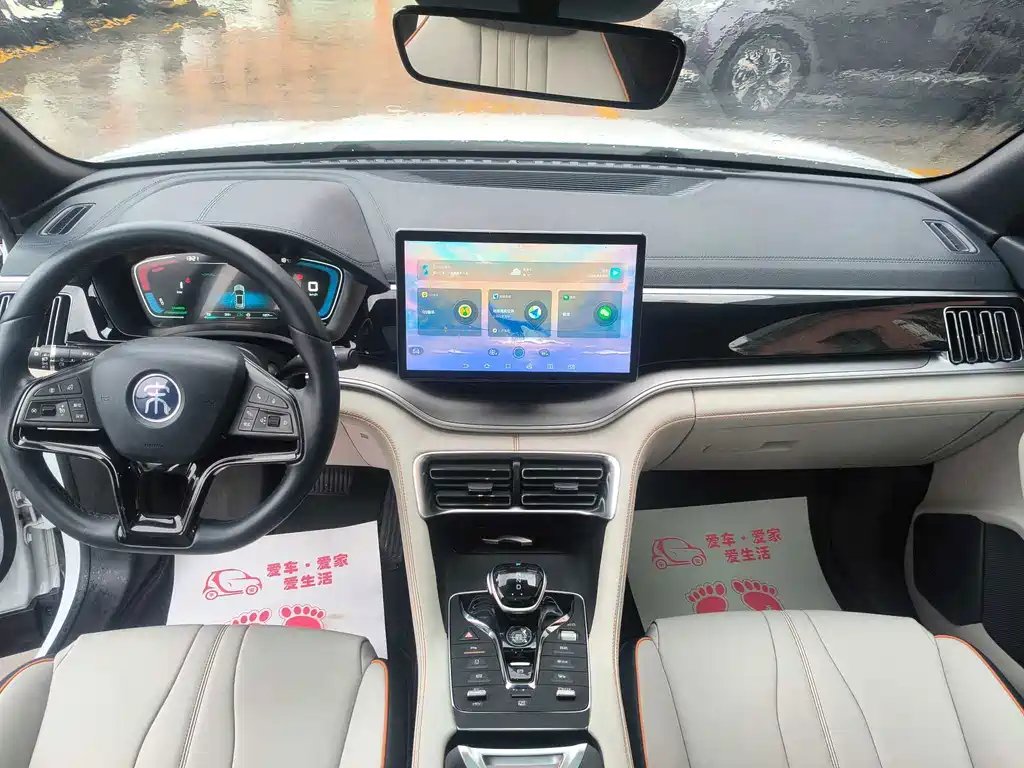 BYD PLUS New Energy — фото 8