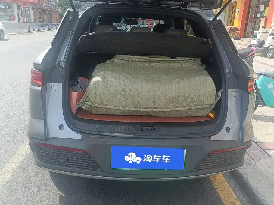 BYD Pro New Energy — фото 4