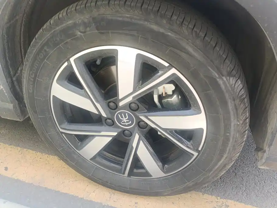 BYD Pro New Energy — фото 6
