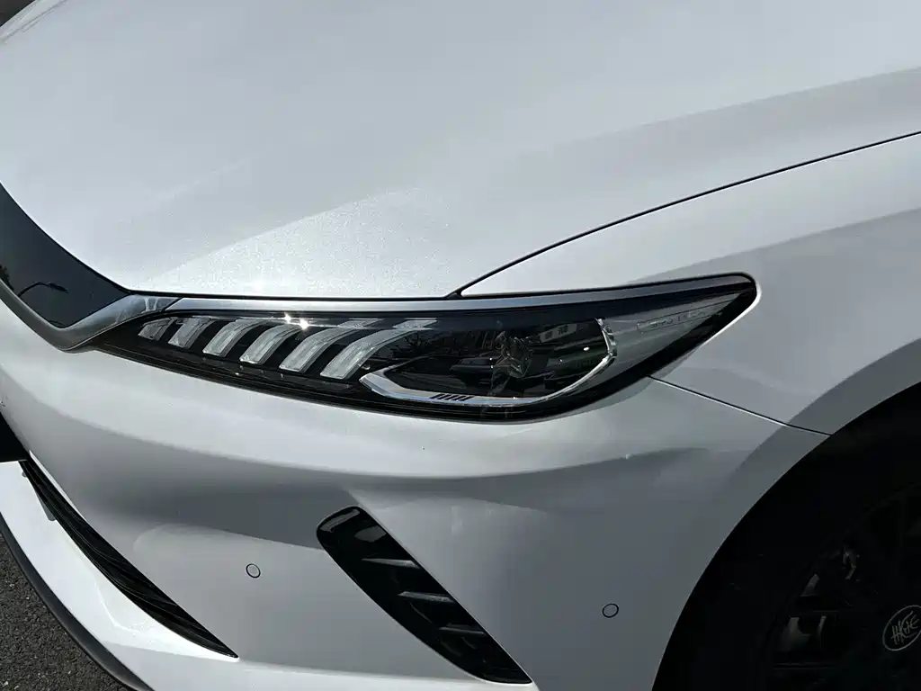 BYD Qin PLUS — фото 15