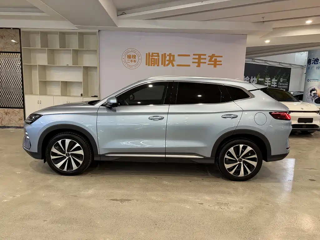 BYD PLUS New Energy — фото 4