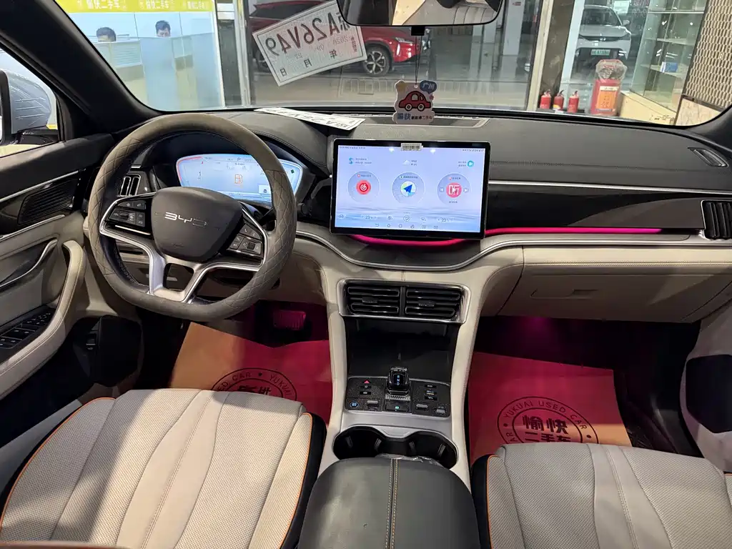 BYD PLUS New Energy — фото 10