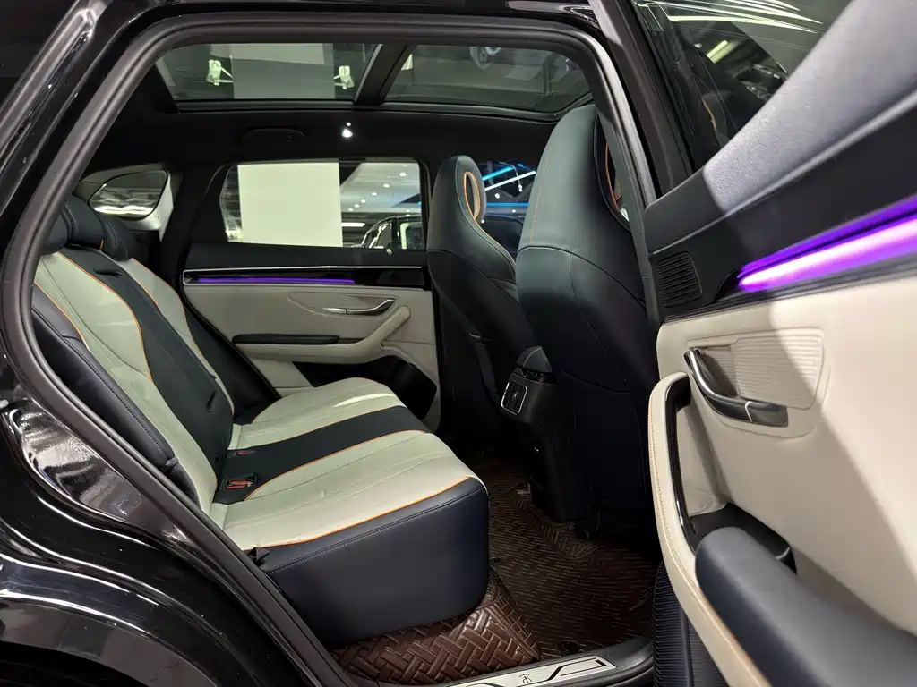 BYD PLUS New Energy — фото 13