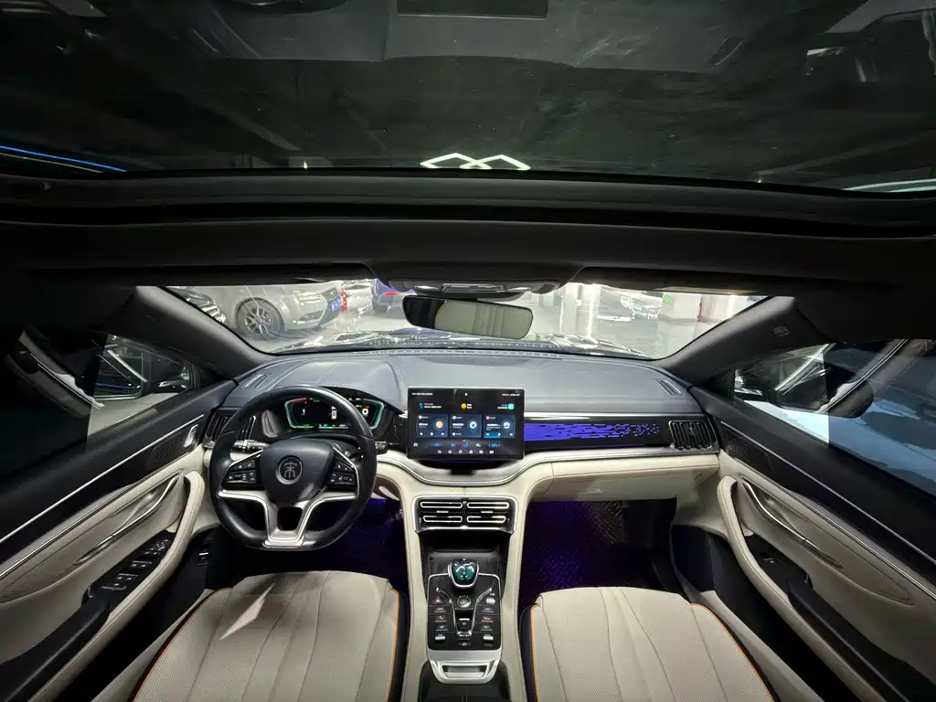 BYD PLUS New Energy — фото 10
