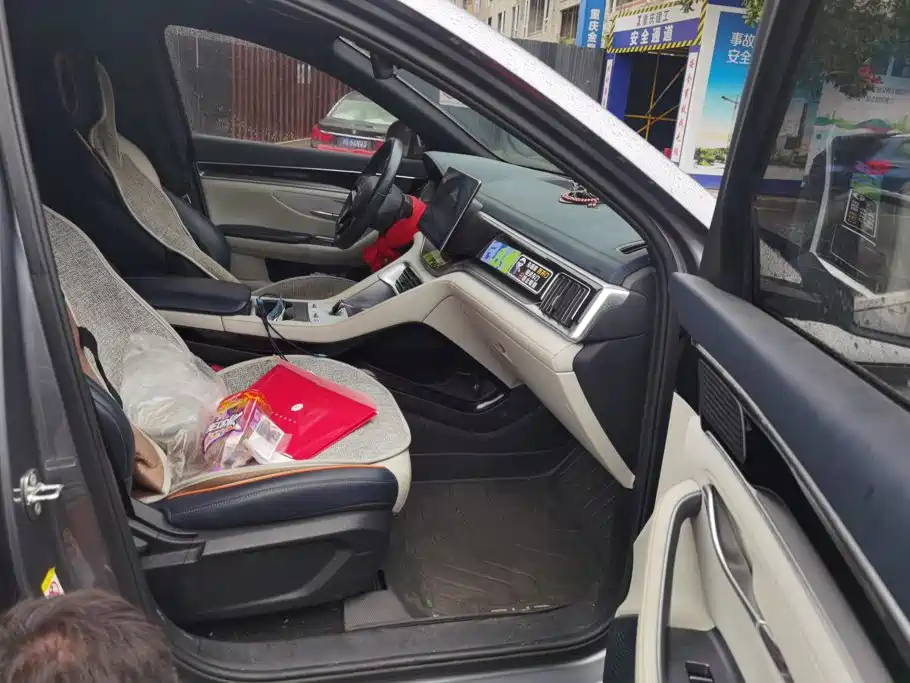 BYD PLUS New Energy — фото 8