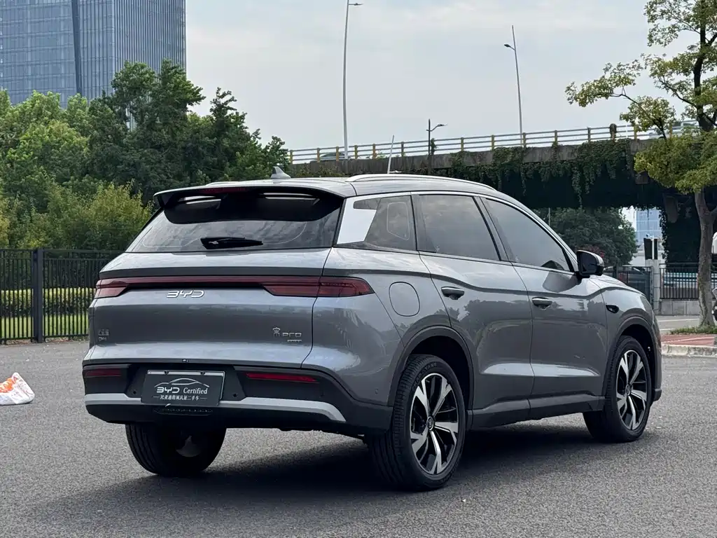 BYD Pro New Energy — фото 13