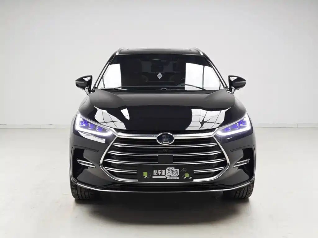 BYD Tang New Energy — фото 2