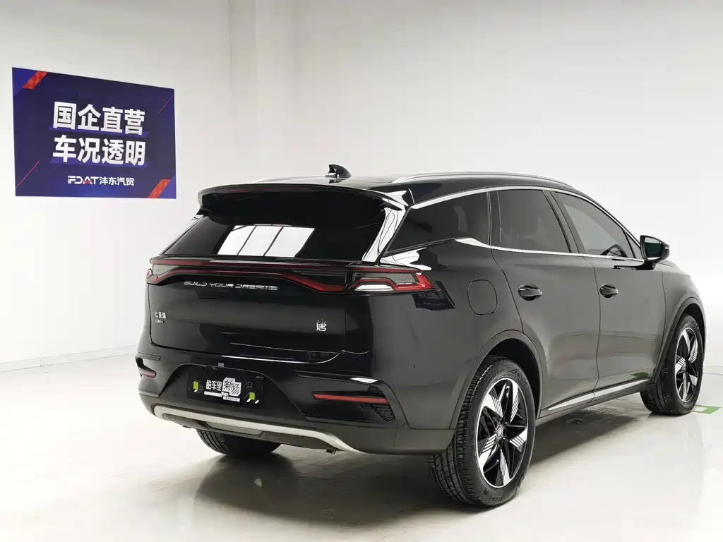 BYD Tang New Energy — фото 4
