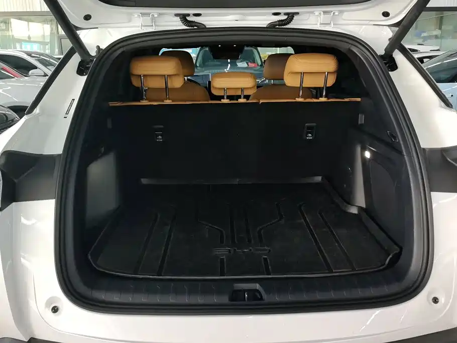 BYD L DM-i — фото 4