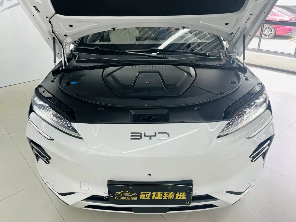 BYD PLUS New Energy — фото 2