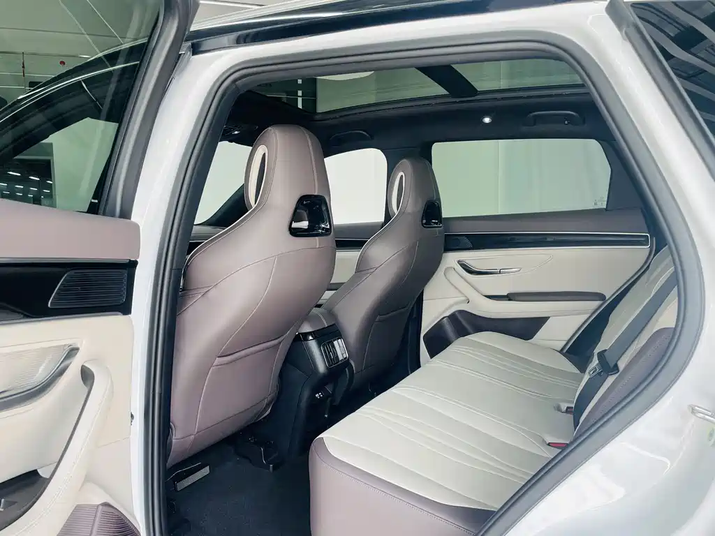 BYD PLUS New Energy — фото 11