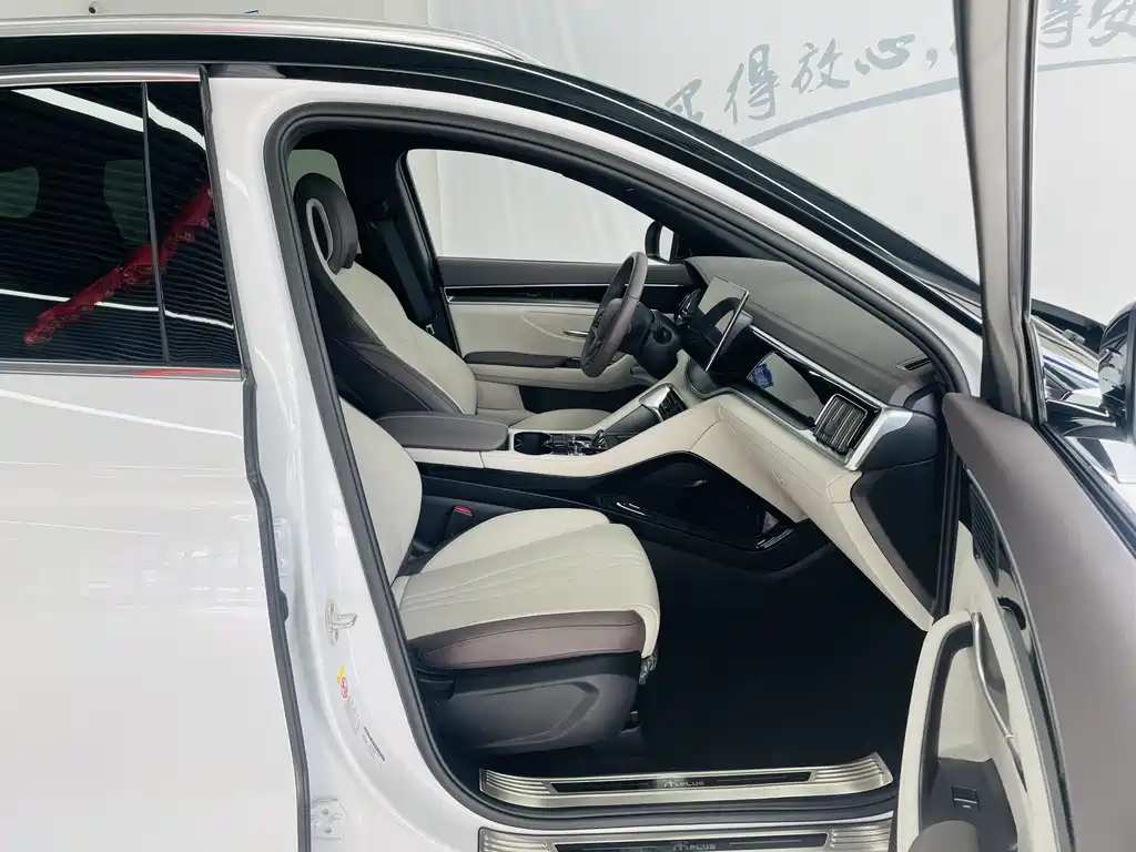 BYD PLUS New Energy — фото 13