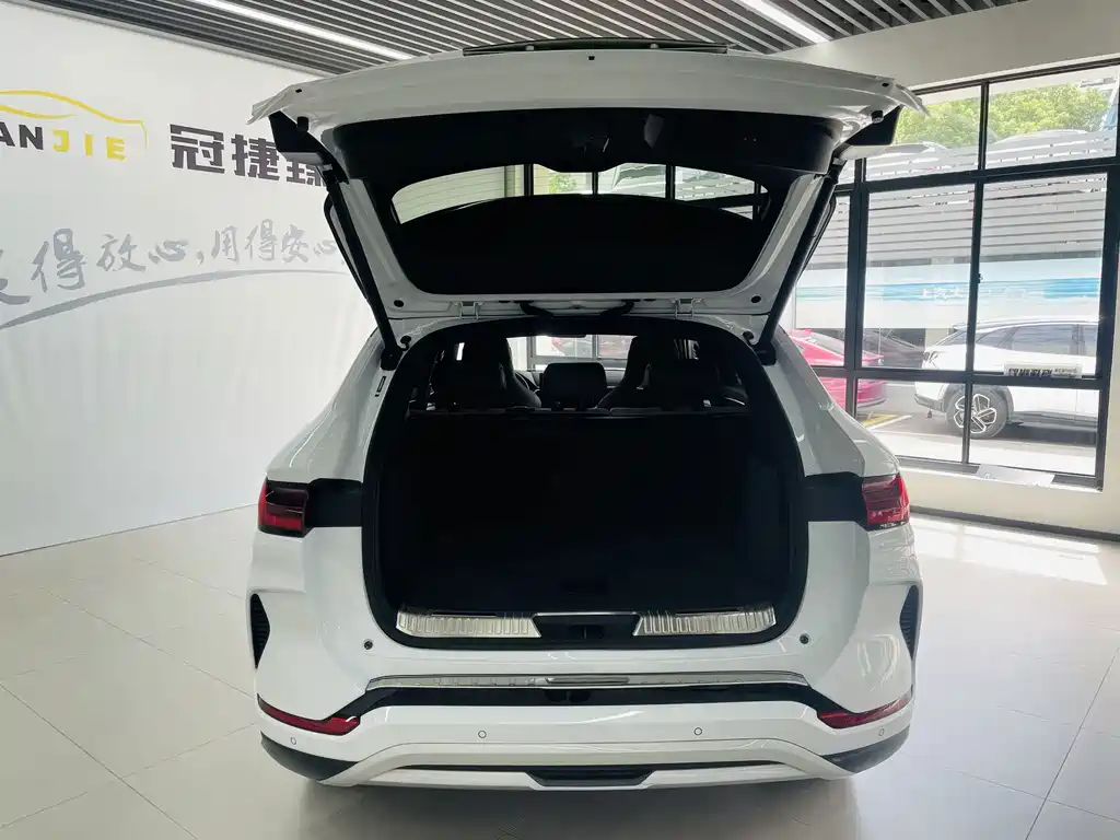 BYD PLUS New Energy — фото 14