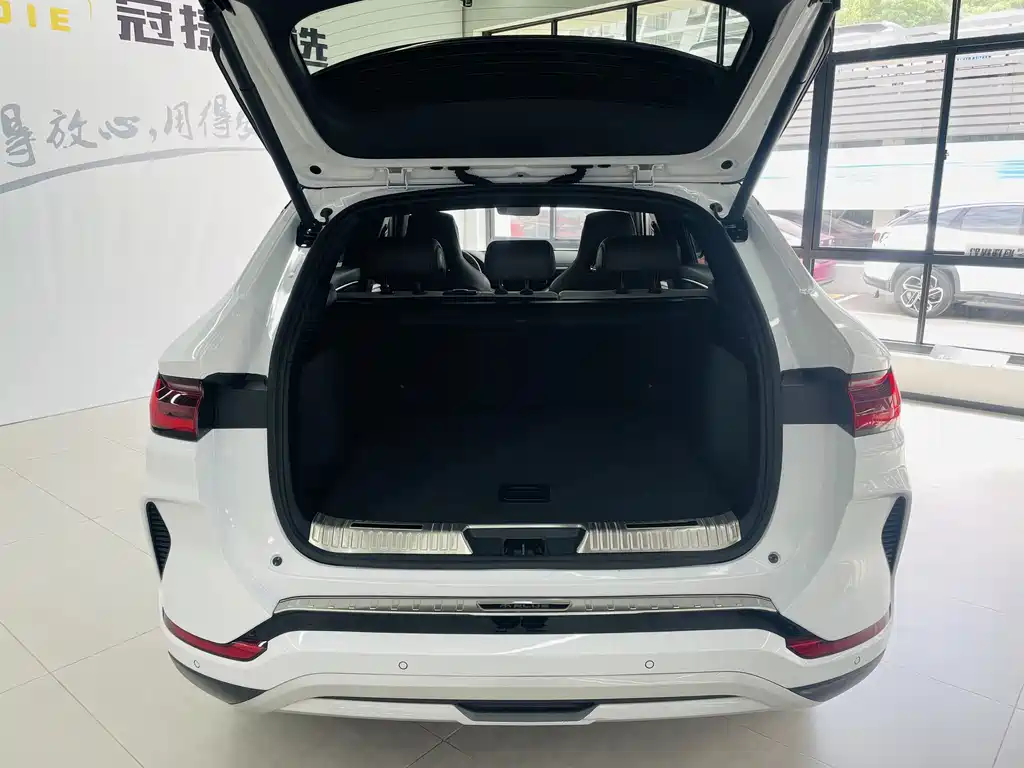 BYD PLUS New Energy — фото 15