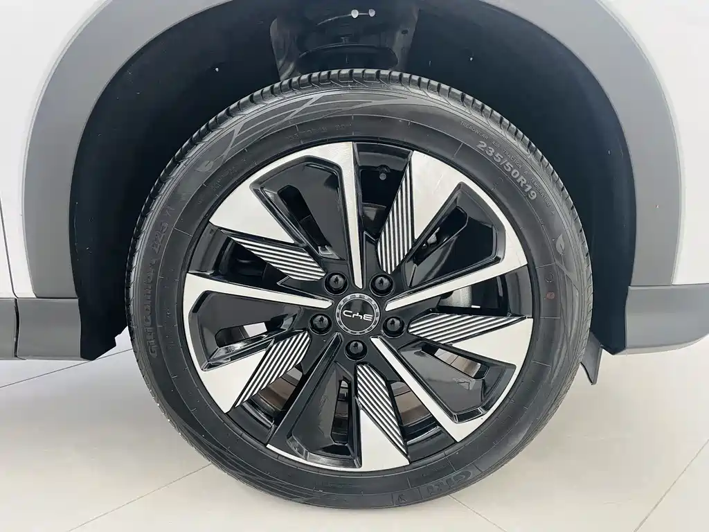 BYD PLUS New Energy — фото 3