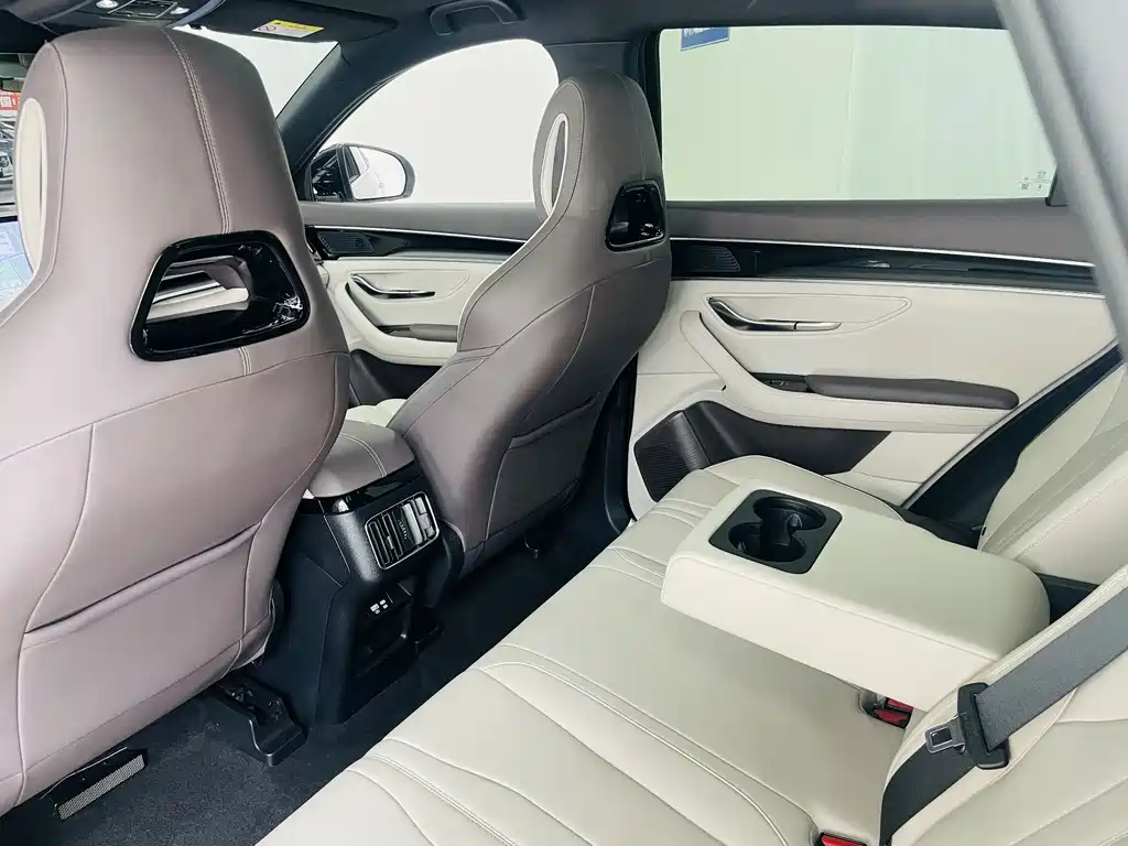 BYD PLUS New Energy — фото 10