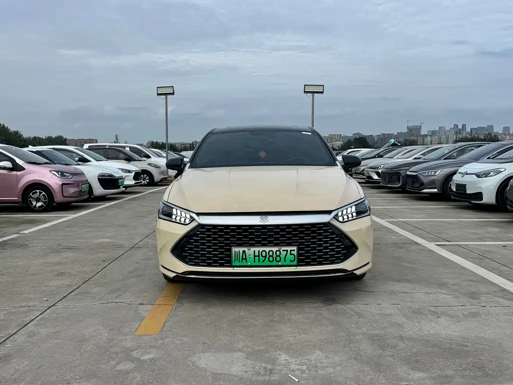 BYD Qin PLUS — фото 2