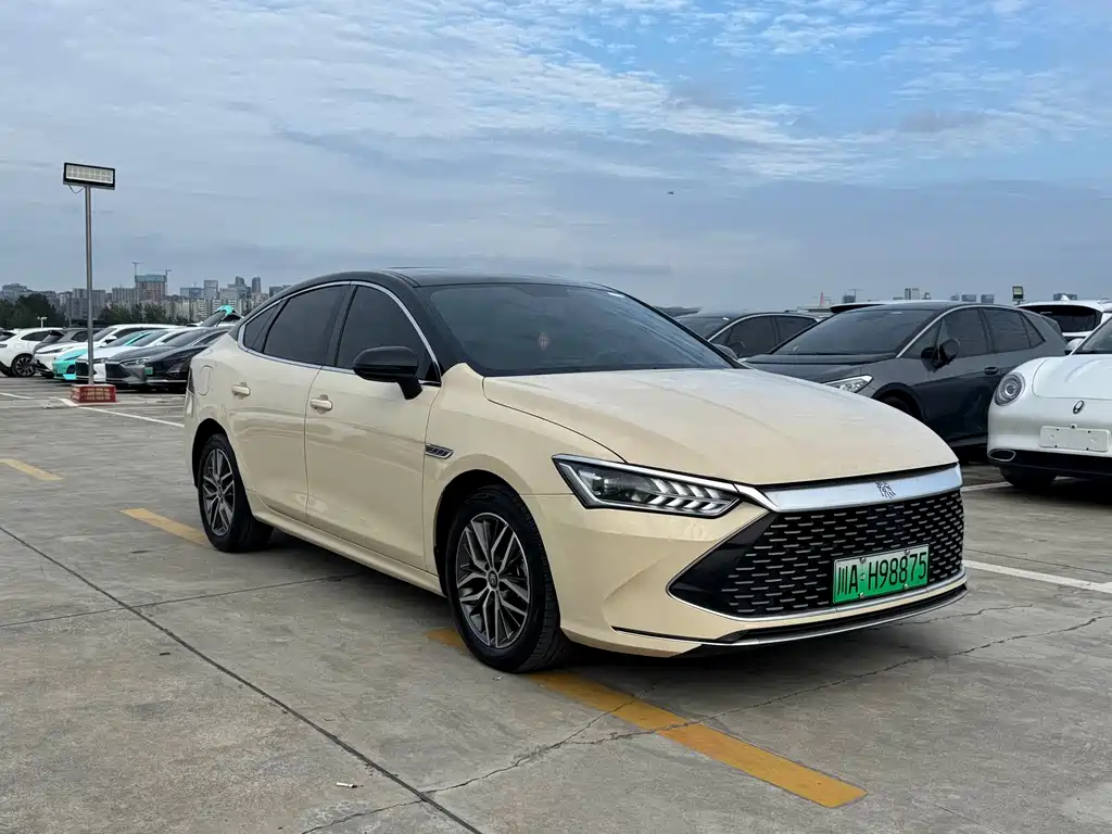 BYD Qin PLUS — фото 3