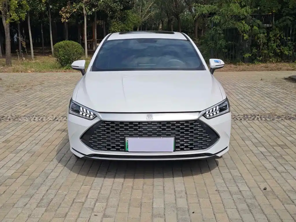 BYD Qin PLUS — фото 3