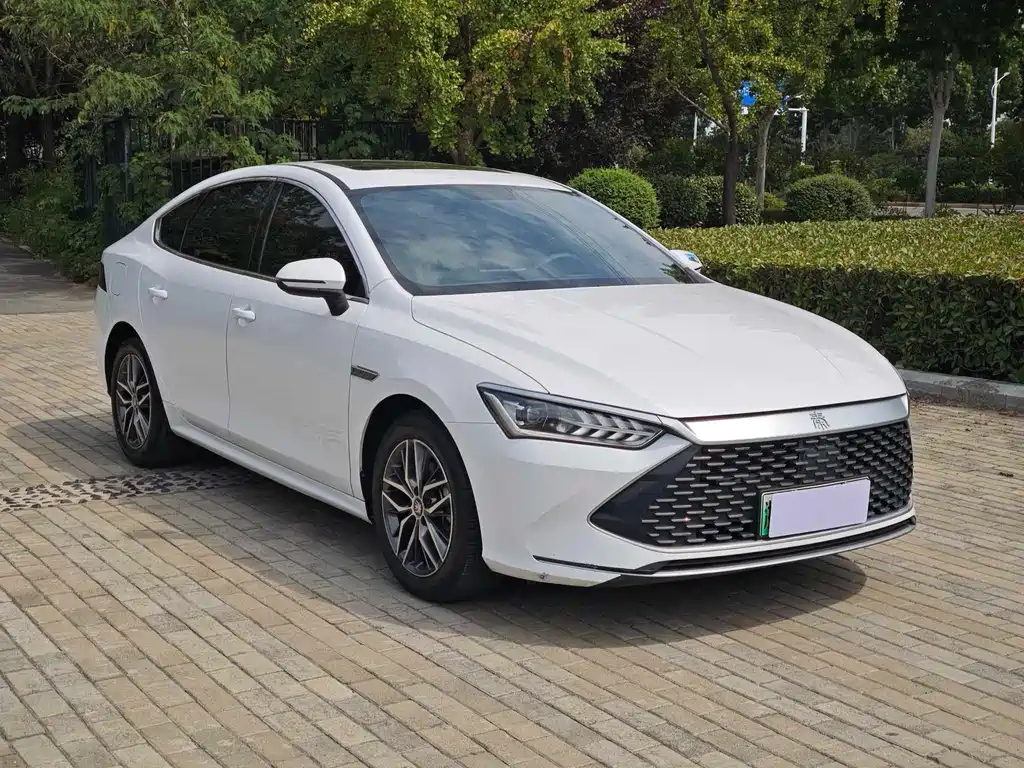 BYD Qin PLUS — фото 4