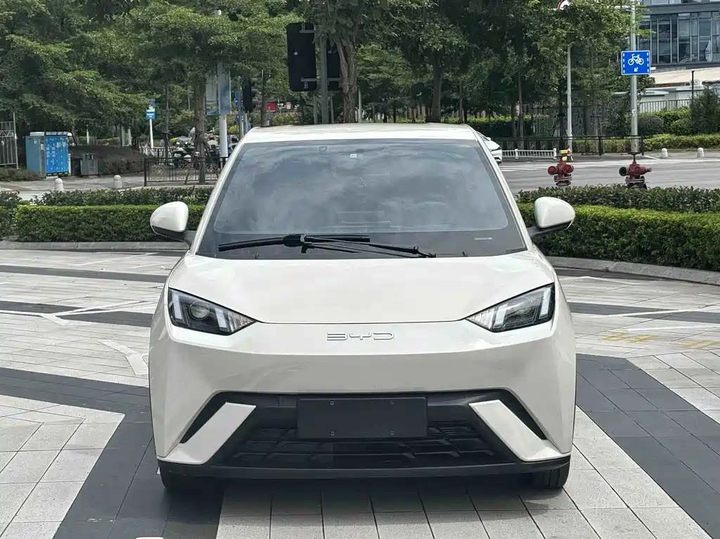 BYD Seagull — фото 2