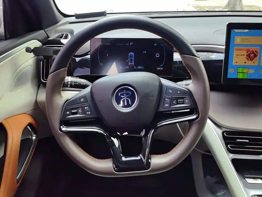 BYD Pro New Energy — фото 15